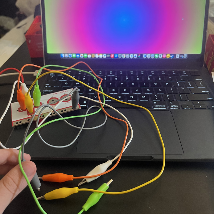 Setting up Makey Makey