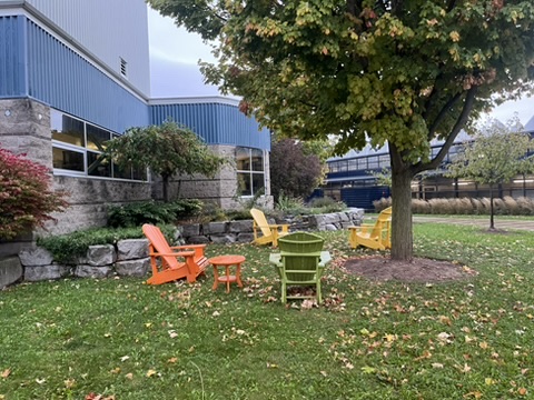 The third location, the outdoor seating area, shifts the experience into a more casual and organic setting. Surrounded by greenery, fallen leaves, and colorful wooden chairs, it offers a relaxed and inviting atmosphere for conversation or rest. The circular arrangement of the chairs encourages social interaction, symbolizing openness and community. This space demonstrates how nature and design can work together to foster comfort, balance, and connection within the campus environment.